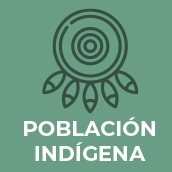 Población Indígena