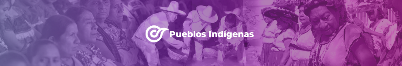 10_Portada_Pueblos-Indigenas_2560X422PX