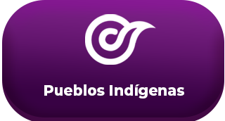 Población Indígena